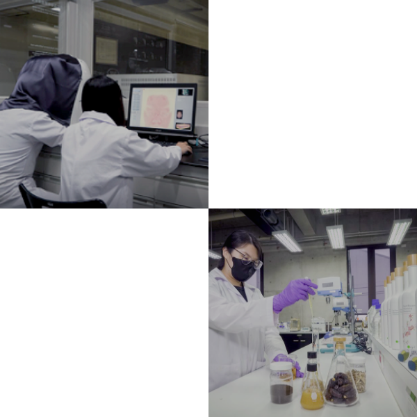 the lab