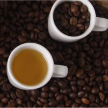 coffee seed oil
