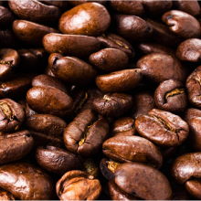 coffee seed